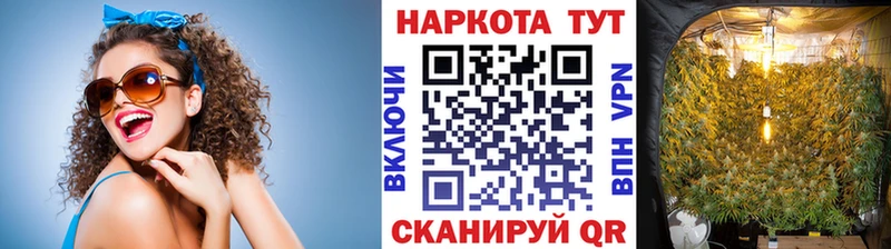 Купить Каменногорск A-PVP  Меф  ГАШ  Кокаин 