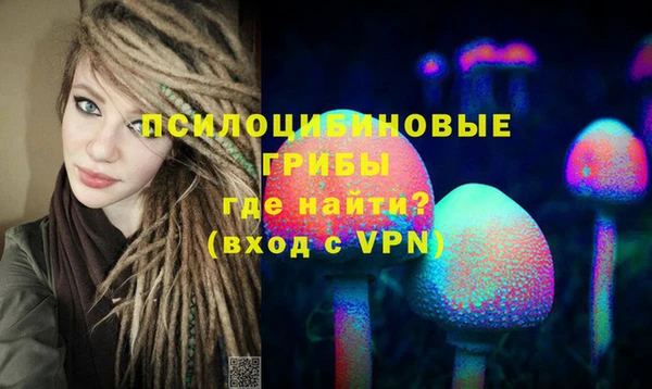 тгк Абинск